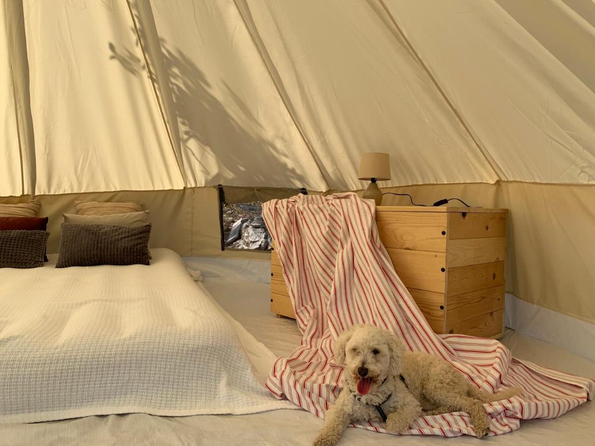 Hotel Bigova Glamping Kotor Exterior foto